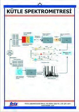 KÜTLE SPEKTROMETRESİ LEVHASI (70X100 CM)