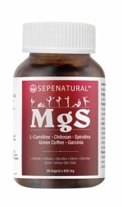 MGS L-Karnitin Çitosan Spirulina Kahve Garsiniya 90 Kapsül 920 mg