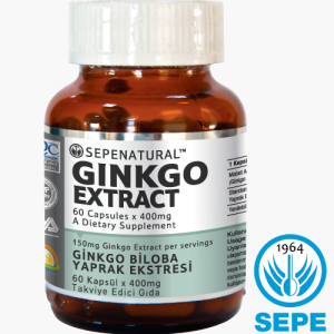 Ginkgo Biloba Extract 60 Kapsül Ginko Ekstrakt Ekstresi