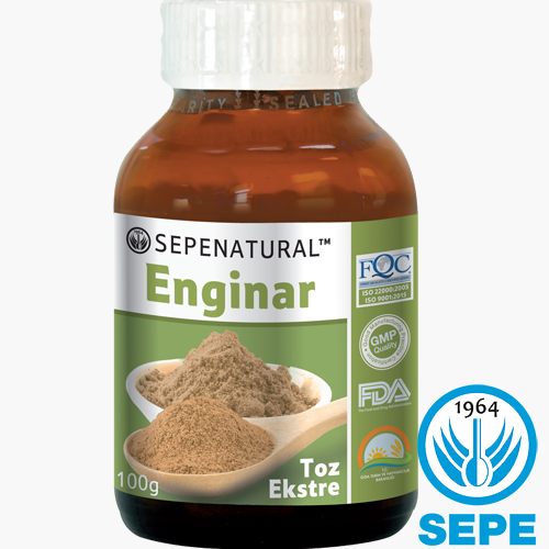 Enginar Ekstresi Toz Ekstrakt 100 gr Artichoke Extract