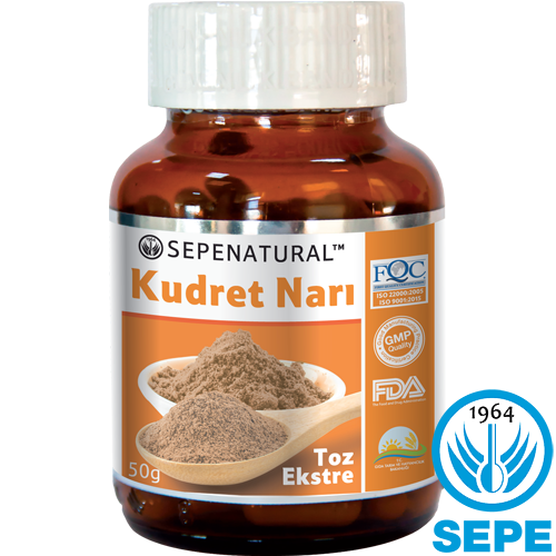 Kudret Narı Ekstresi Toz Ekstrakt 50 gr Bitter Melon Extract