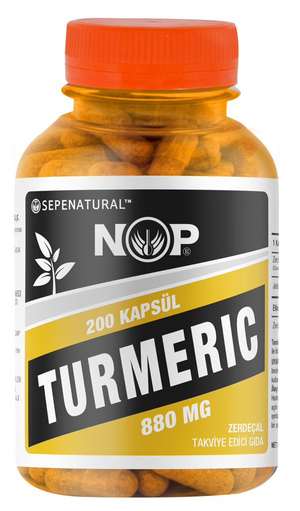 Zerdeçal Kapsül 200 x 880 mg Curcumin Kurkumin Tur