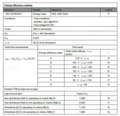 3000K NEON LED 24V