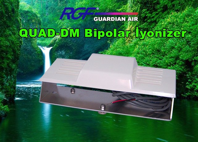 quad-dm bipolar iyonizer