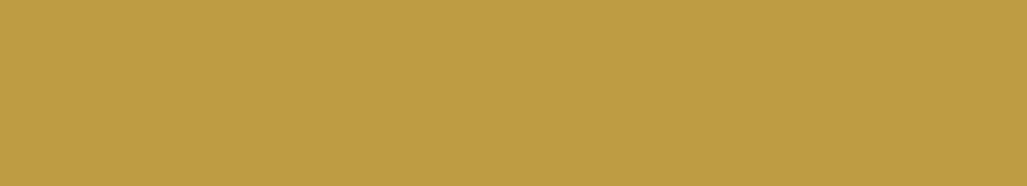 0,40 Kastamonu D133 Koyu Sarı 	Roma Kodu : 5289GB PVC