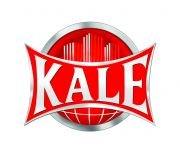 Kale KD-050/60-200 Elektromanyetik Kilit Set 150 KG