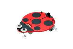 Sliding Ladybug