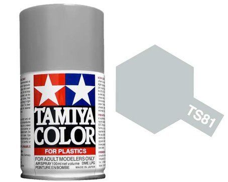 TS-81 Royal Light Gray 100ml Spray