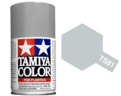 TS-81 Royal Light Gray 100ml Spray