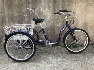 Geotech Porter 24 Jant Tricycle Üç Tekerlekli Bisiklet - Mavi