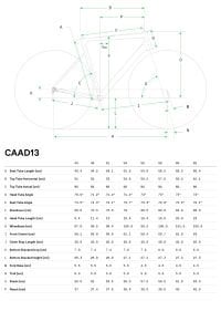 Cannondale Caad13 Disc Tiagra Yol Bisikleti - Mor