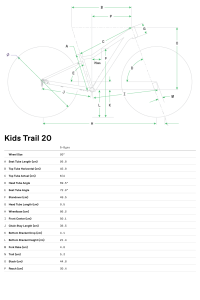 Cannondale Kids Trail 20 Jant Çocuk Bisikleti - Volt