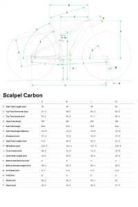 Cannondale Scalpel Carbon 4 29 Jant XC Dağ Bisikleti - Jungle Green