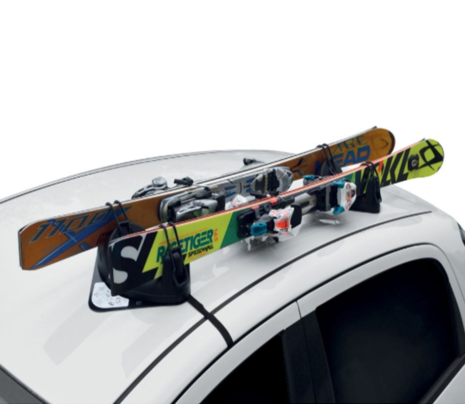 Araç üstü kayak bagajı igloo mıknatıslı 2li sybg440