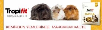 Tropifit Premium Plus Cavia