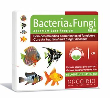 PRODiBiO Bacteria & Fungi Fresh 6 Ampül