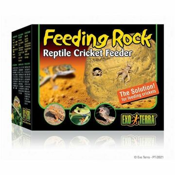 EXO TERRA Feeding Rock PT2821