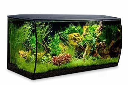 FLUVAL Flex Akvaryum 123 LT Siyah