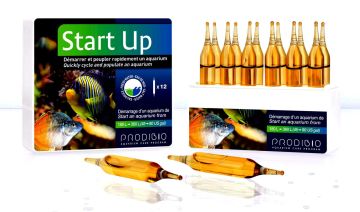 PRODiBiO Start Up 12 Ampül