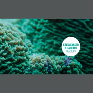 REEFLOWERS Enriched Kalkwasser 500 ML