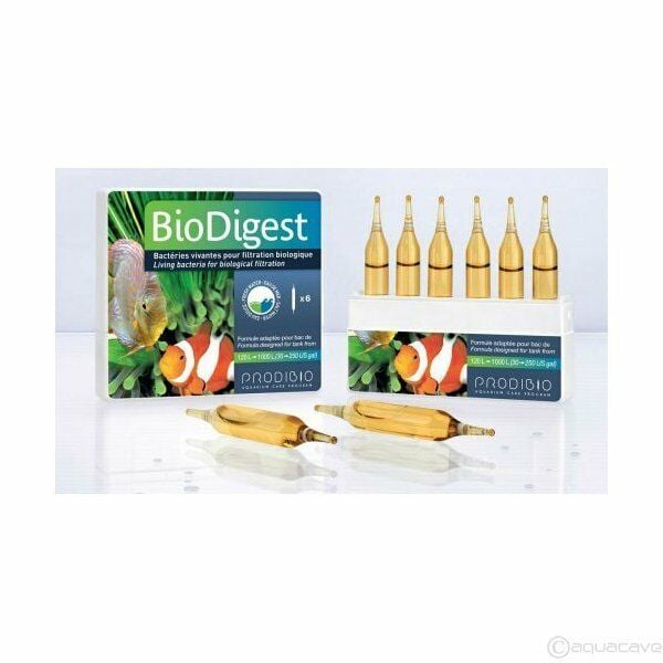 PRODIBIO BioDigest 6 Ampul