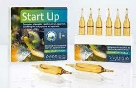 PRODIBIO Start Up 6 Ampul