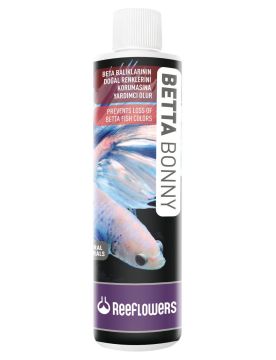 REEFLOWERS Betta Bonny 85 ML