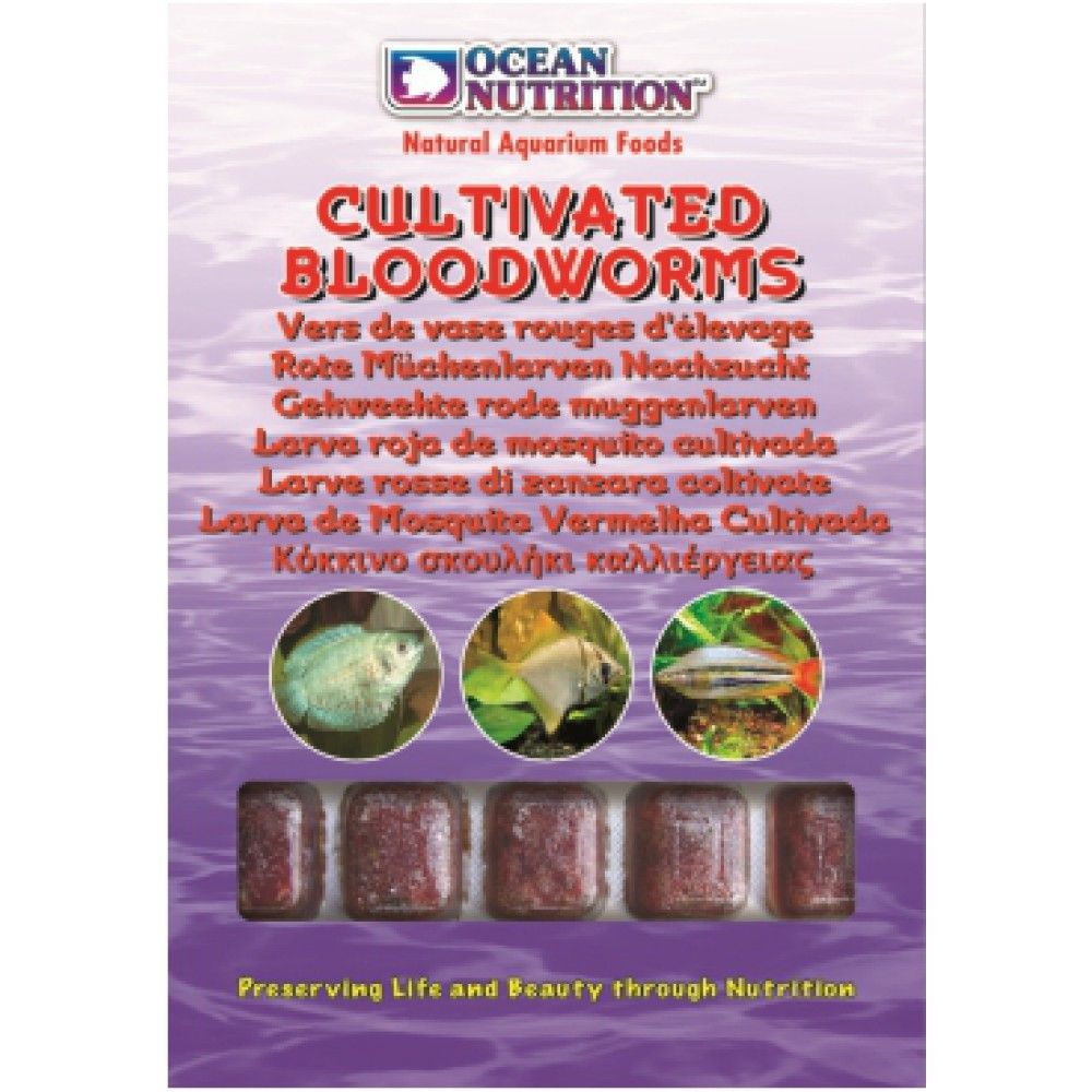 Cultivated Bloodworms
