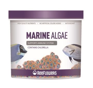 REEFLOWERS Marine Algae Kova 4456 GR