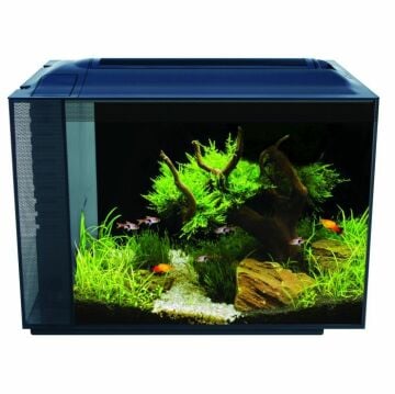 FLUVAL Spec Akvaryum 60 L Siyah