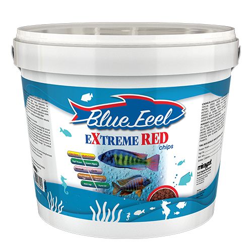 BLUE FEEL Extreme Red Chips Kova 2,4 KG