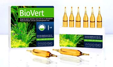 PRODiBiO Bio Vert 6 Ampül