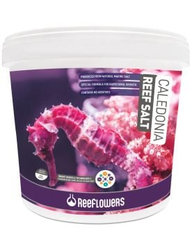 REEFLOWERS Caledonia Coral Salt 6,5 Kg