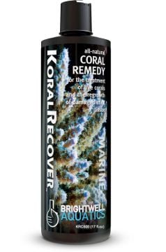 BRIGHTWELL Koral Recover 250 ml