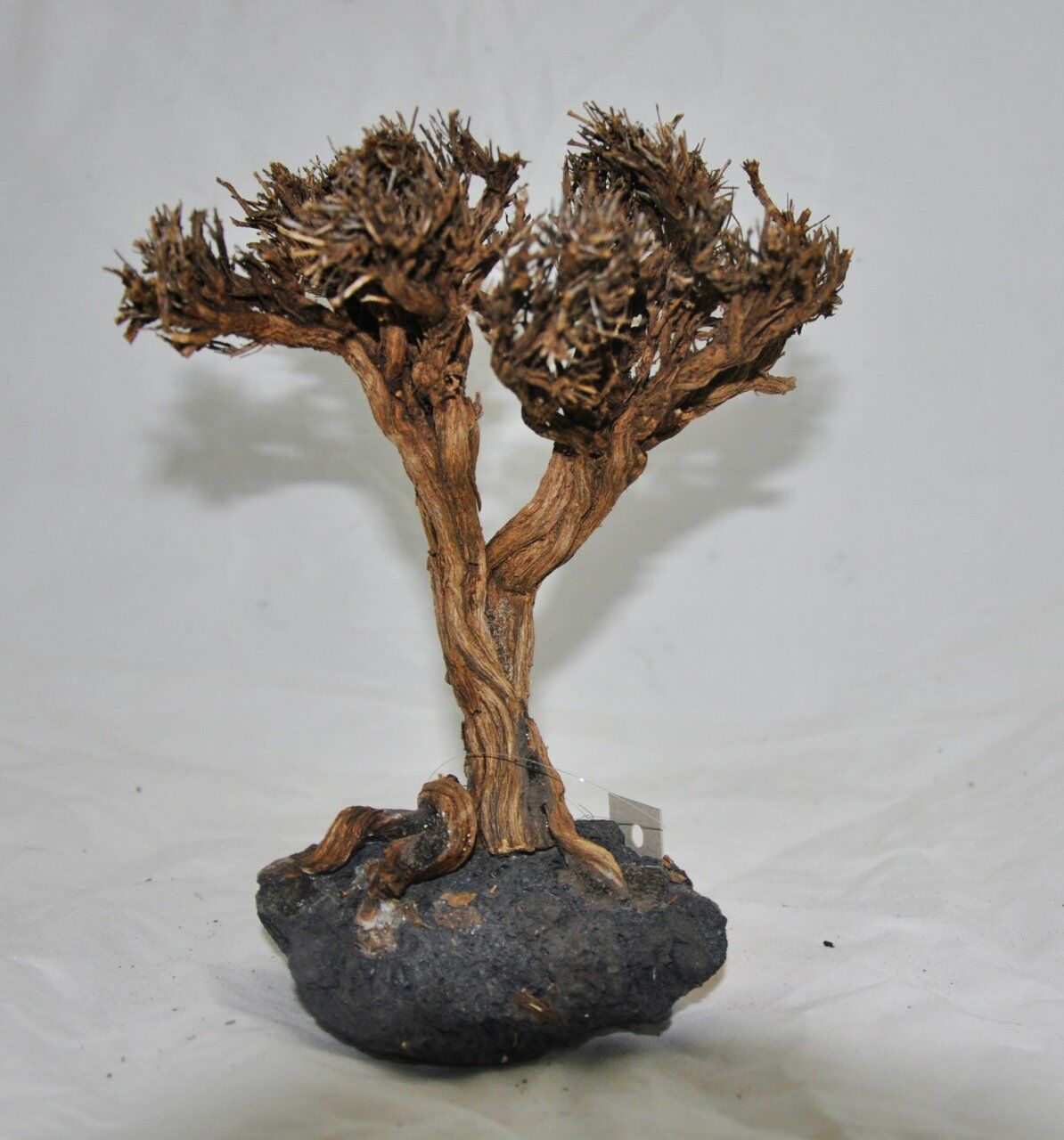 Bonsai Driftwood Doğal Akvaryum Dekoru