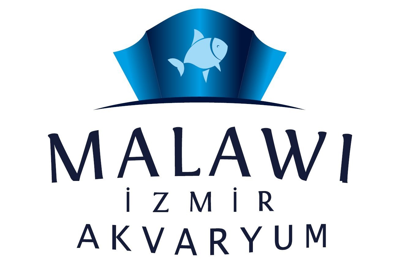 Balık - Balık Ürünleri - Malawi İzmir Akvaryum