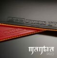 MANTRA PRO H