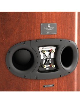JBL PROJECT EVEREST DD67000 - 3 Way Dual 15'' Floorstanding Loudspeaker (ADET)
