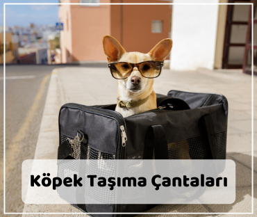 Köpek Taşıma Çantaları