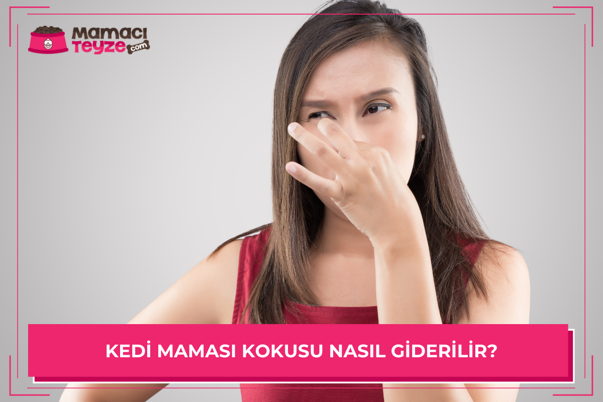 Kedi Maması Kokusu Nasıl Giderilir?