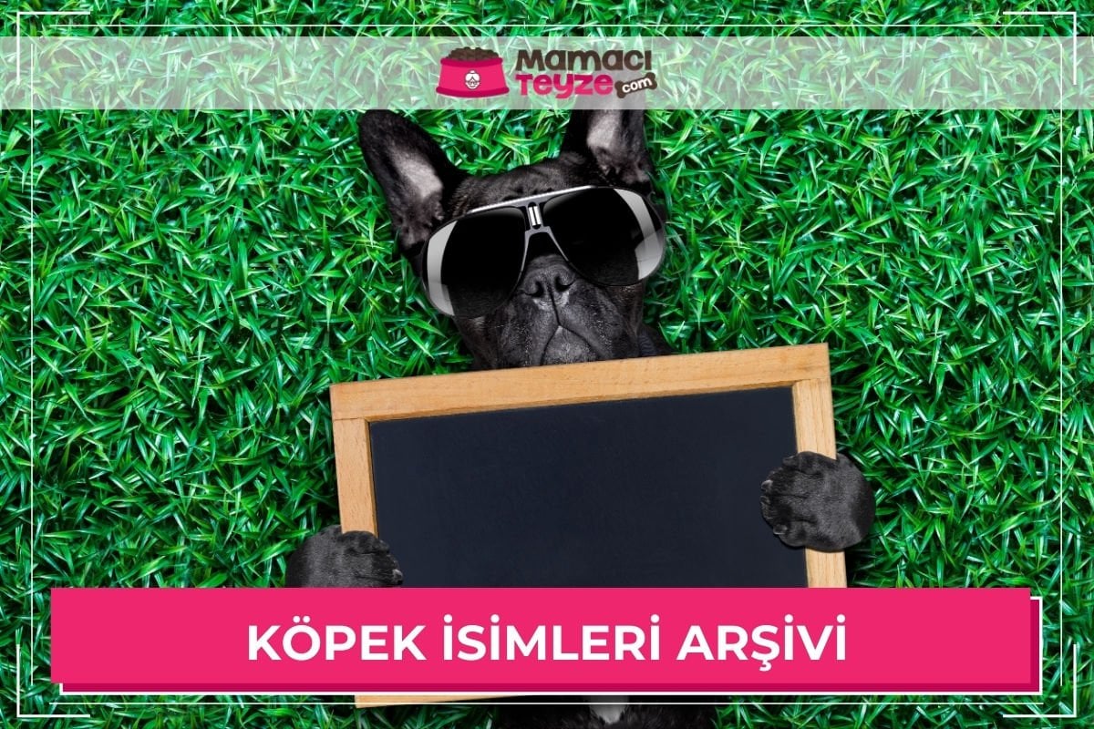 Köpek İsimleri