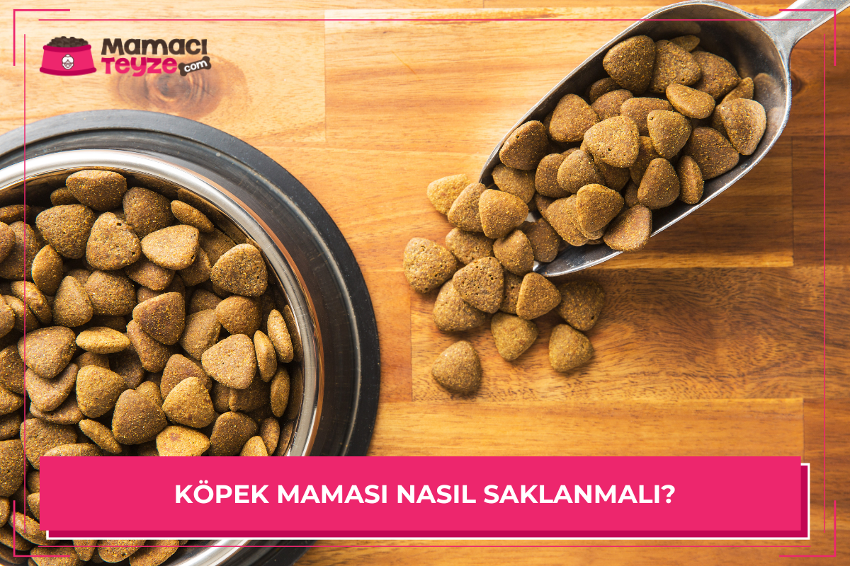 Köpek Maması Nasıl Saklanmalı?