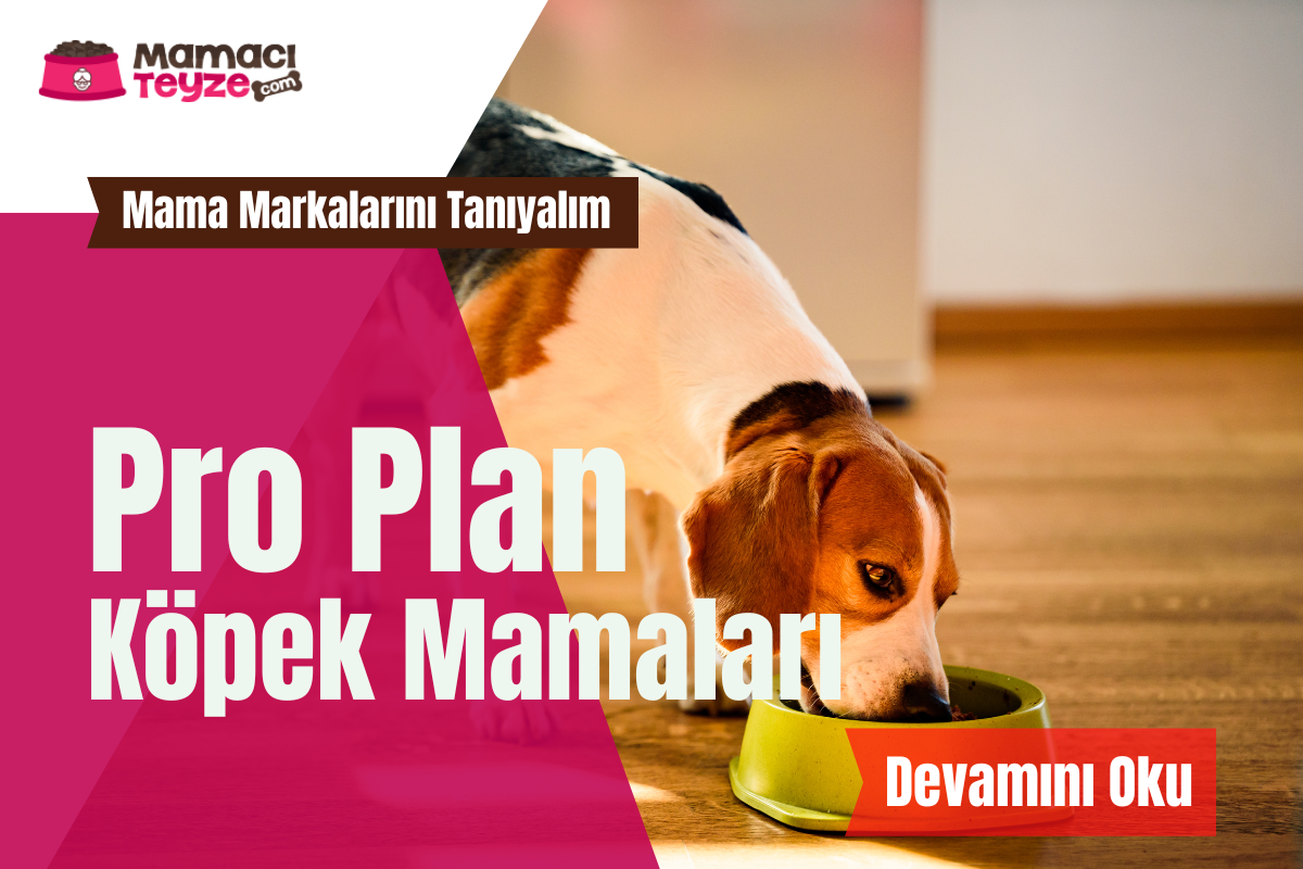 Mama Markalarını Tanıyalım: Pro Plan Köpek Mamaları