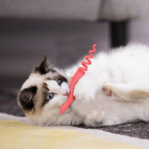 Gigwi  Catnipli Fare Model  Turuncu Kedi Oyuncağı
