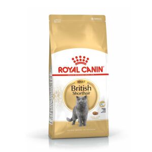 Royal Canin British Shorthair İçin Özel Yetişkin Kedi Maması 10 Kg