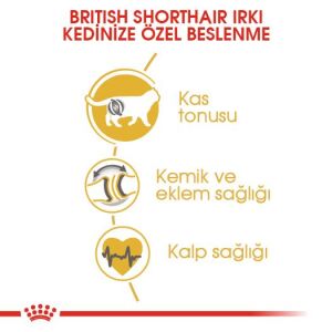 Royal Canin British Shorthair İçin Özel Yetişkin Kedi Maması 10 Kg