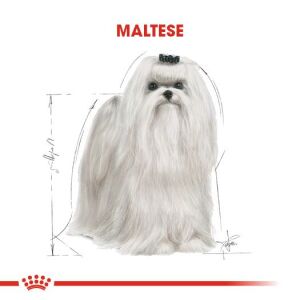 Royal Canin Maltese Terrier Adult Köpek Mamasi 1,5 Kg