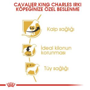 Royal Canin Cavalier King Charles Yetişkin Köpek Mamasi 1,5 Kg