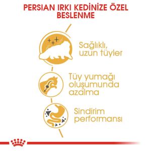 Royal Canin Persian 30 Iran Kedilerine Özel Yetişkin Kedi Mamasi 10 Kg