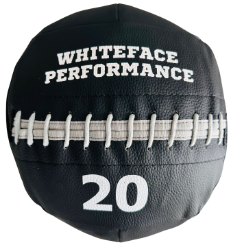 Whiteface Wallball Pu Deri Sağlık Topu (20 kg)